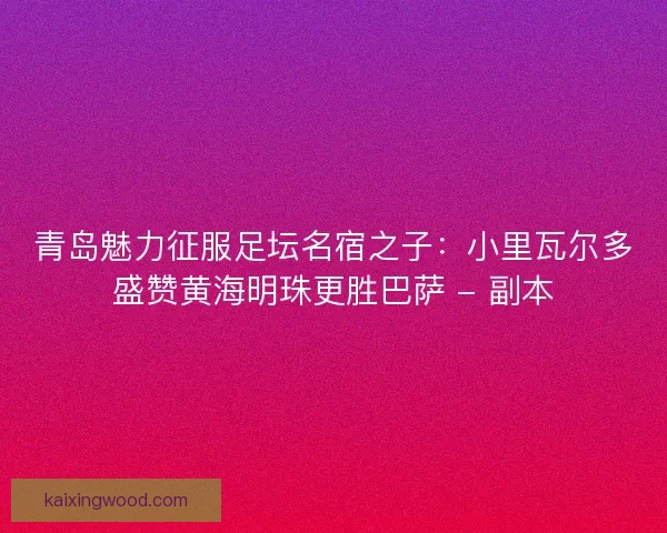 青岛魅力征服足坛名宿之子：小里瓦尔多盛赞黄海明珠更胜巴萨 - 副本