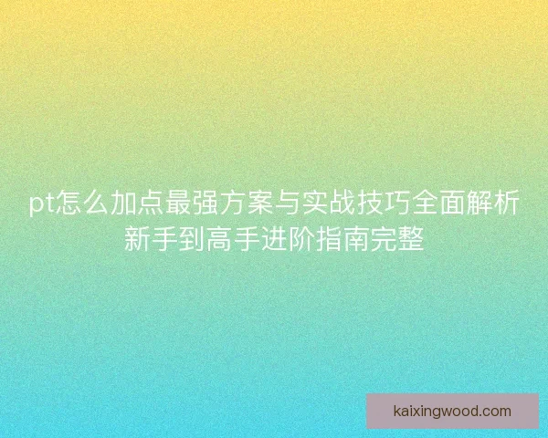 pt怎么加点最强方案与实战技巧全面解析新手到高手进阶指南完整