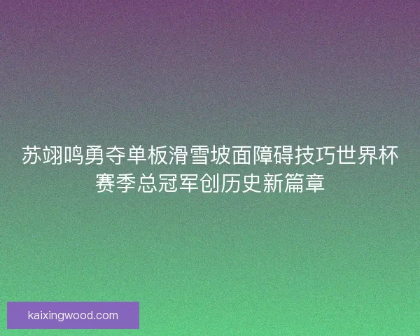 苏翊鸣勇夺单板滑雪坡面障碍技巧世界杯赛季总冠军创历史新篇章
